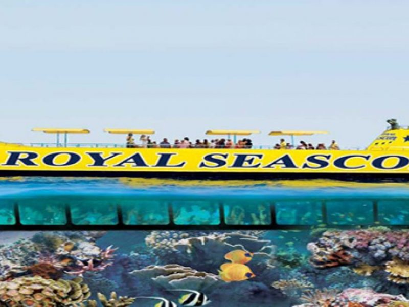Egypt Tours & Packages & Event Planning