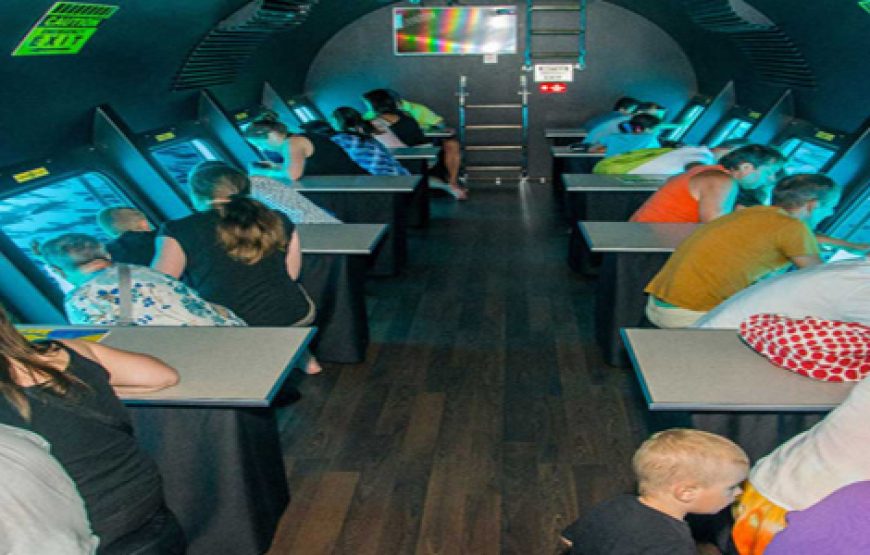 Royal Sea Scope Submarine Red Sea Trips