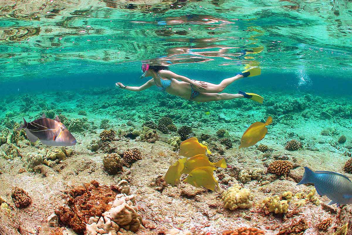 Day 8: Free day in Hurghada.