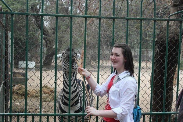 Half Day Tour To Giza Zoo