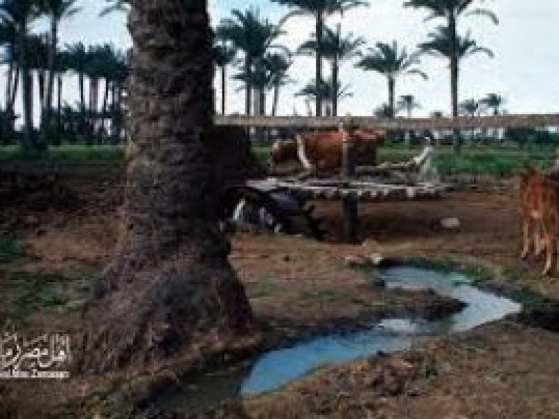 Egypt Tours & Packages & Event Planning